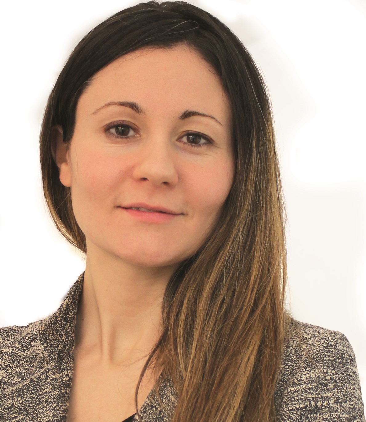 Chiara Simoni, consulenza per integrazioni software